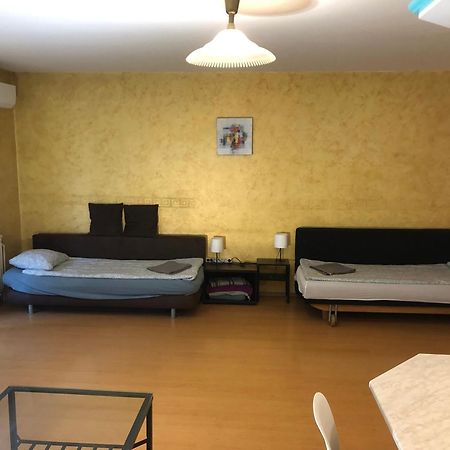 Large Apartment With Garage And Terrace Budapest Luaran gambar