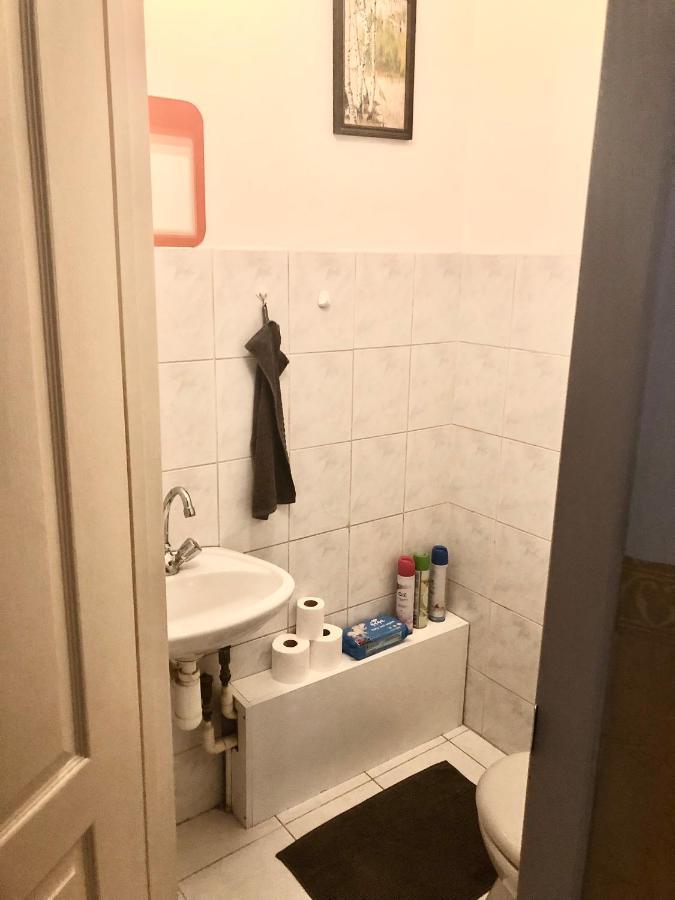 Large Apartment With Garage And Terrace Budapest Luaran gambar